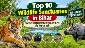 Wildlife Sanctuaries in Bihar