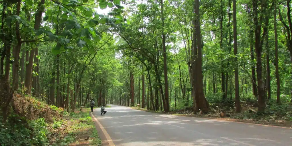 Wildlife Sanctuaries in Bihar