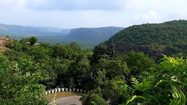 Wildlife Sanctuaries in Bihar