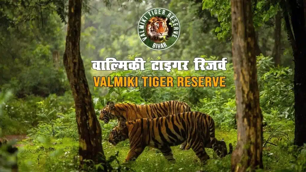 Wildlife Sanctuaries in Bihar